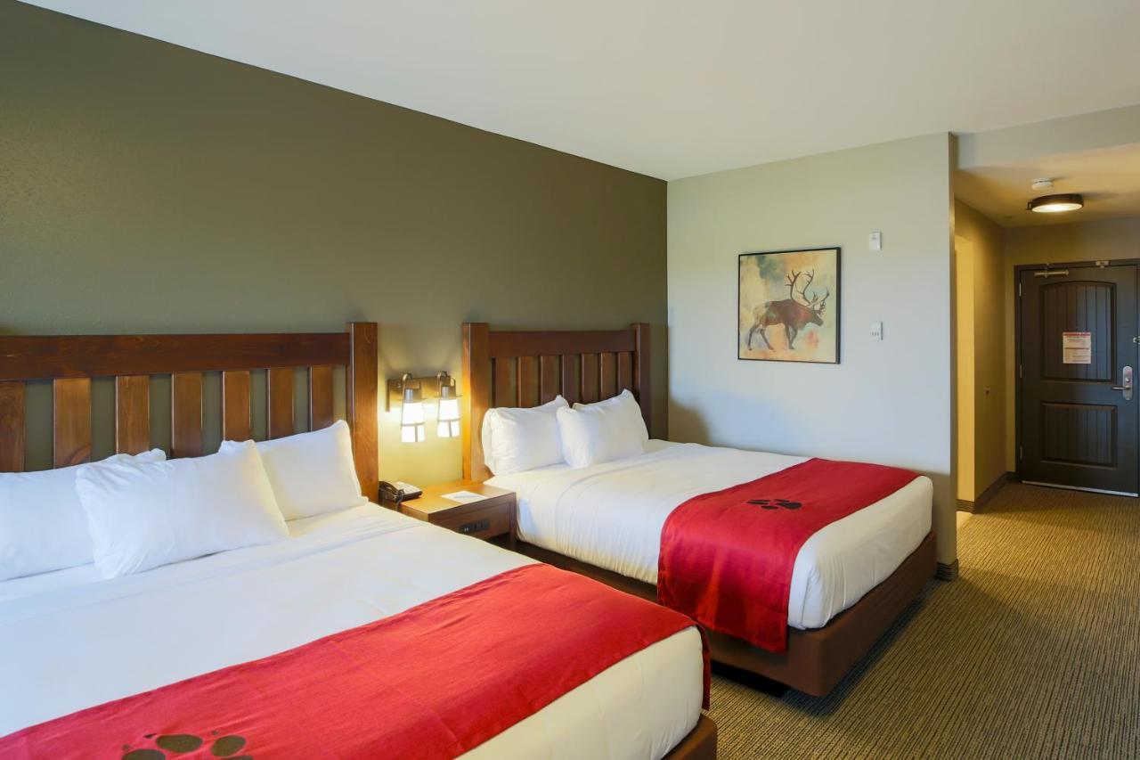 Great Wolf Lodge Chicago/Gurnee Habitación foto